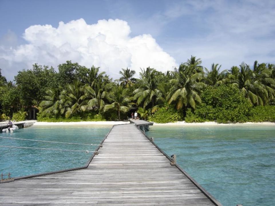 Bootssteg Kuramathi Maldives