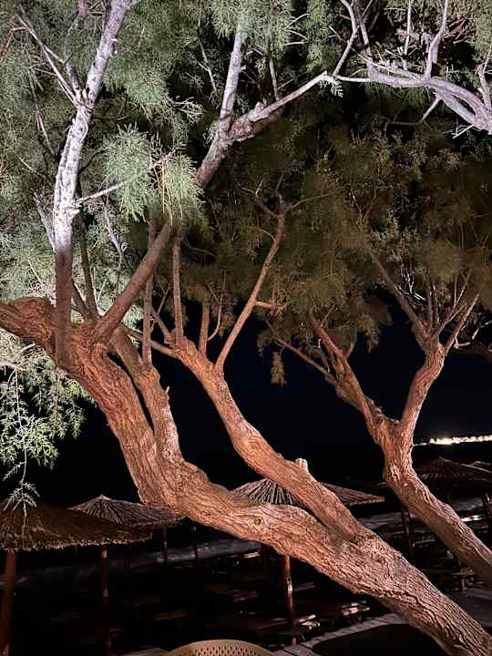 Strand Tylissos Beach Hotel