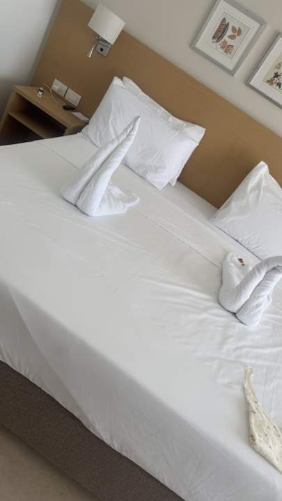 Zimmer JAZ Elite Asteria