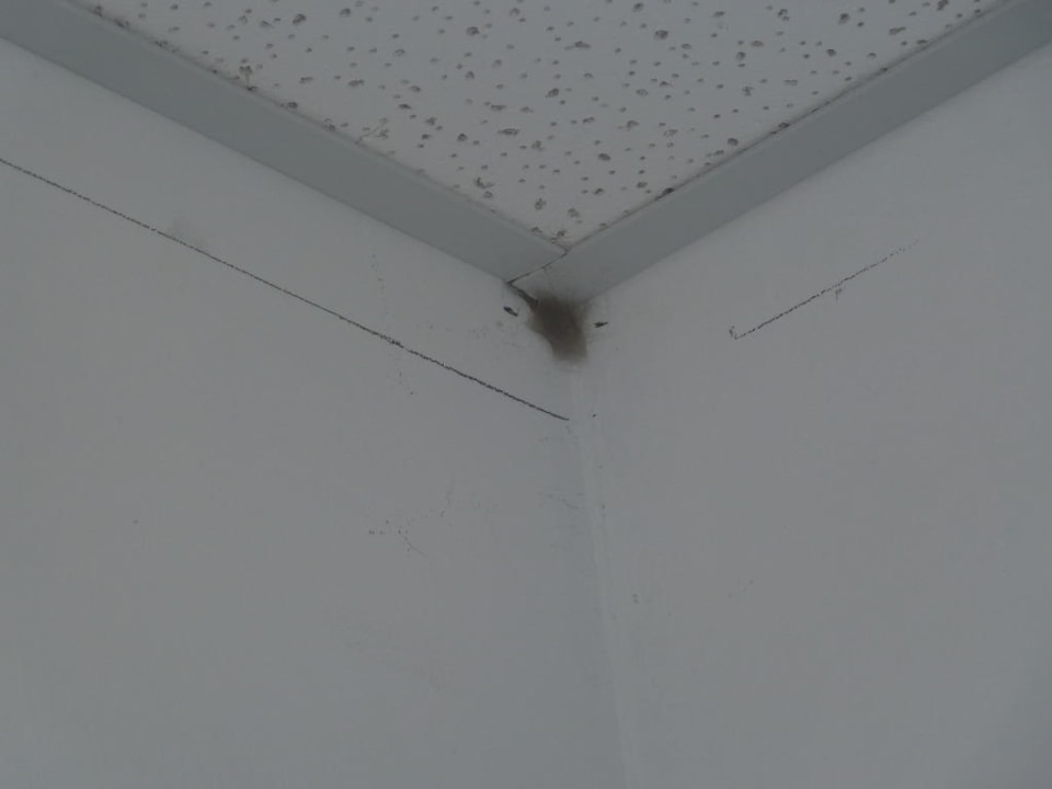 Mängel im Hotel Hotel Sineva Beach