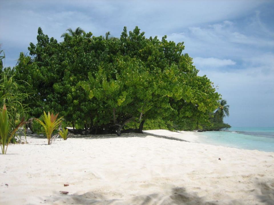 schön Kuramathi Maldives