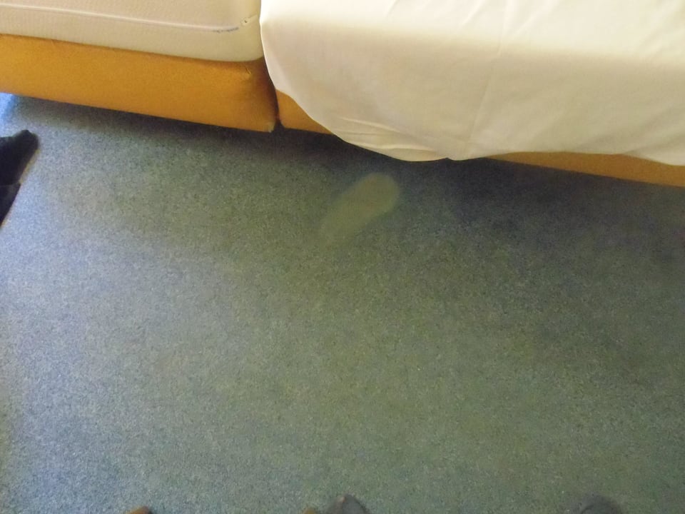 Teppichflecken 2. Zimmer Center Parcs De Kempervennen