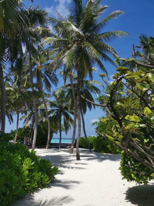 Außenansicht Summer Island Maldives