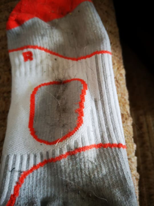 Sonstiges Gasthof-Hotel Schwäbele Eck