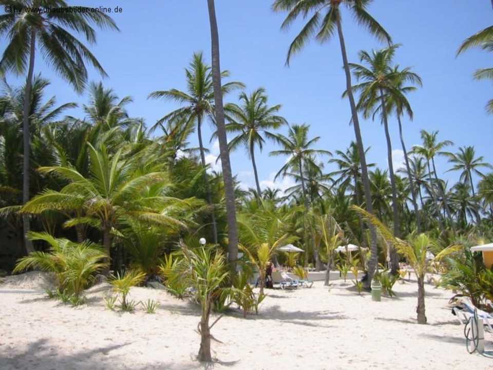 Strand 30 sek vom Zimmer Hotel Riu Palace Bavaro