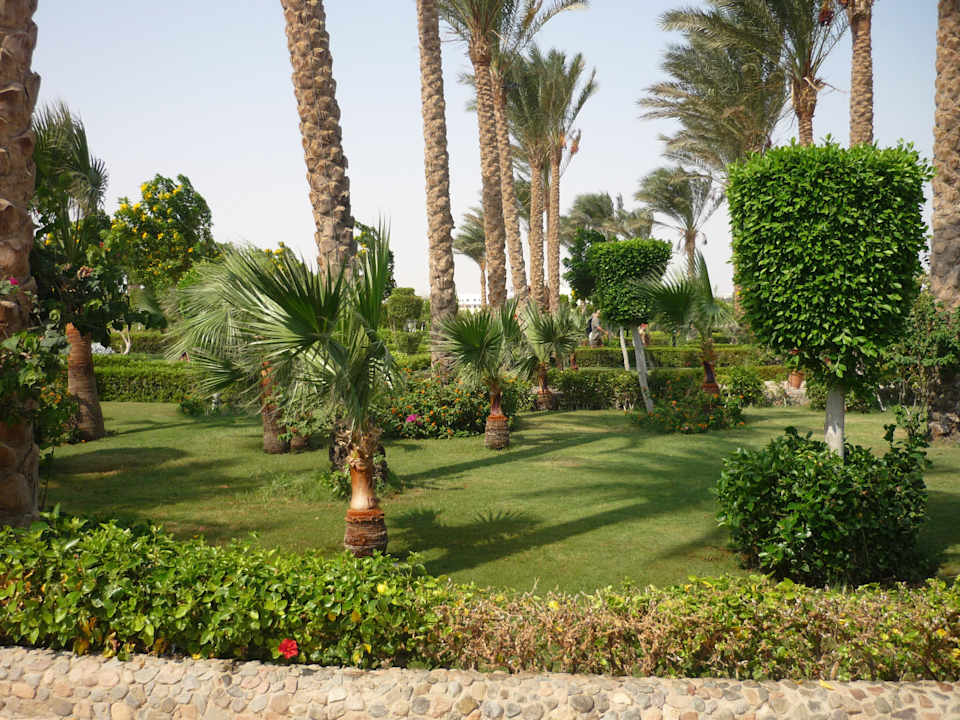 Сад Riviera Aqua Park Resort