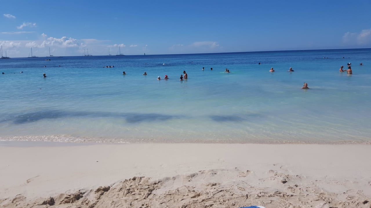 Sehr schön Dreams La Romana Resort & Spa