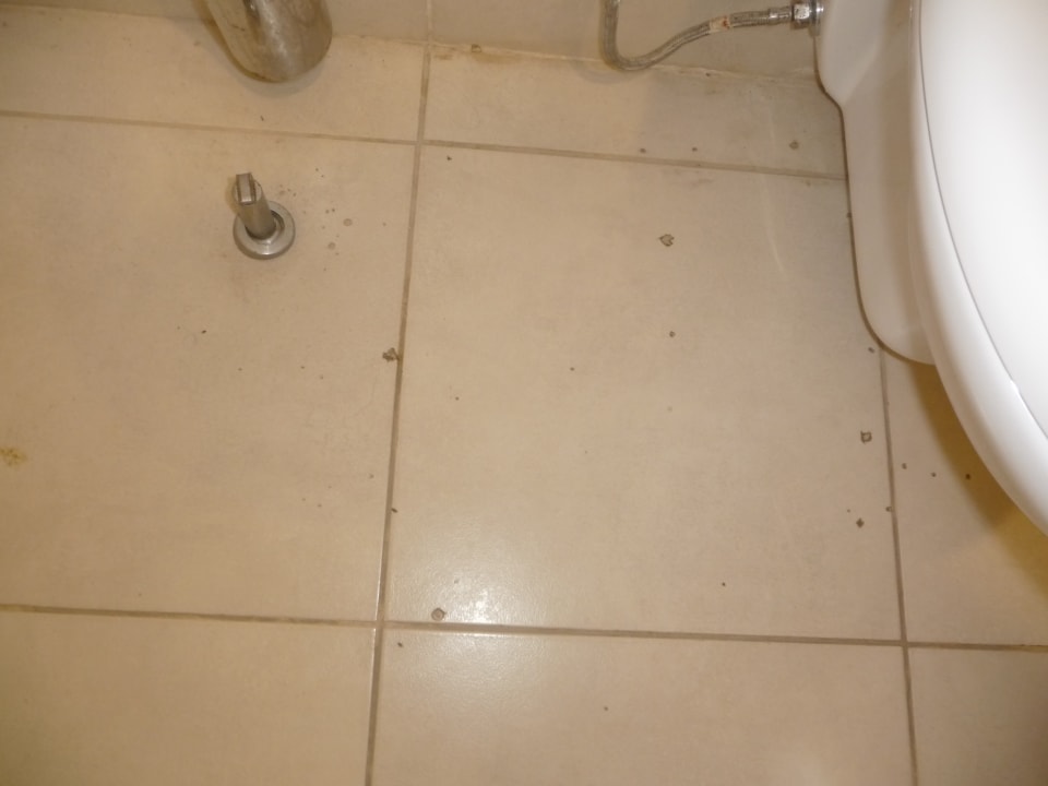 Zimmer Shams Alam Beach Resort