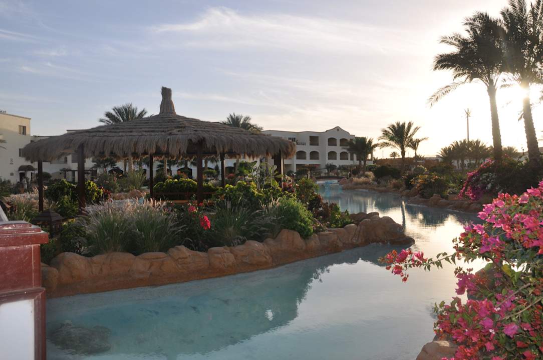 Ogród Regency Plaza Aqua Park & Spa