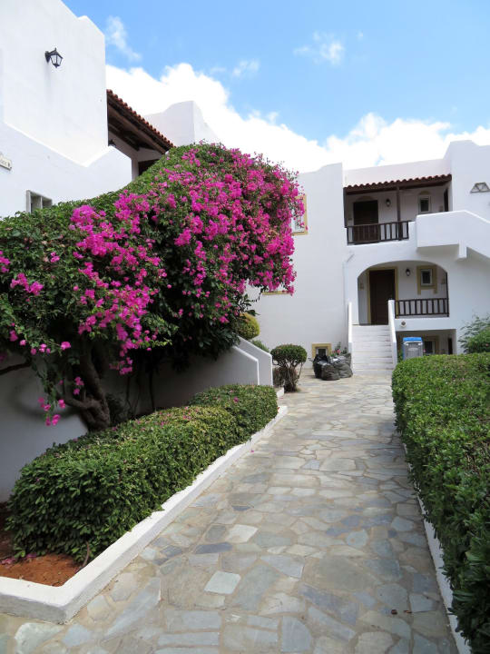 Außenansicht Alexander Beach Hotel & Village Resort