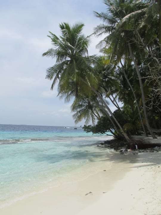 Strand Fihalhohi Maldives