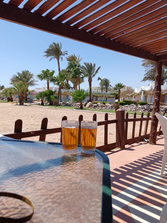 Gastro Shams Safaga Resort