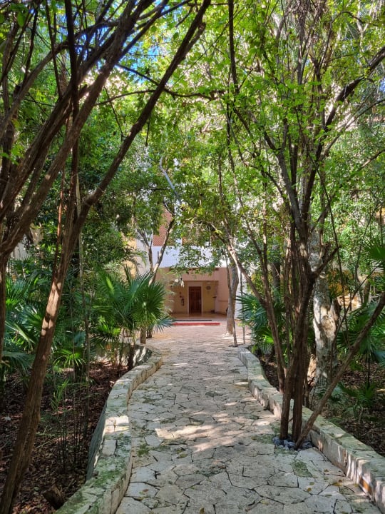 Gartenanlage Catalonia Royal Tulum Beach & Spa Resort - Adults only