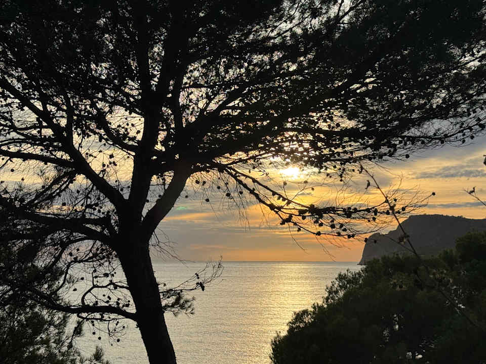 Ausblick allsun Hotel Bella Paguera