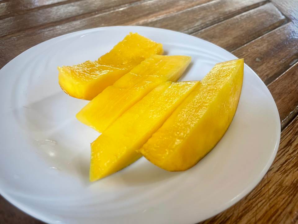 Gastro Pavilion Holiday Resort