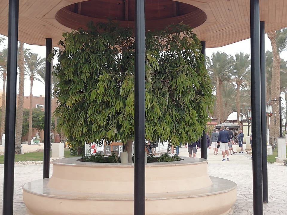 Gartenanlage Makadi Spa - Adults only