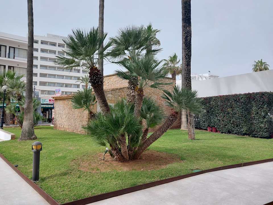 Außenansicht CM Playa del Moro