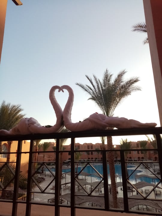 Pool Jaz Makadi Oasis Resort