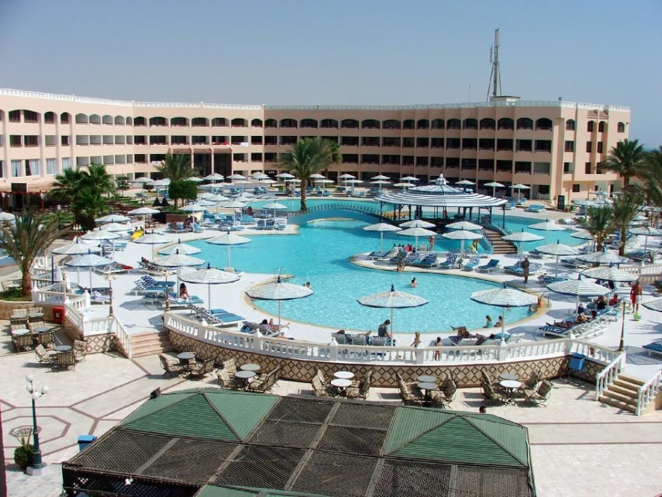 Pool von oben Beach Albatros Resort