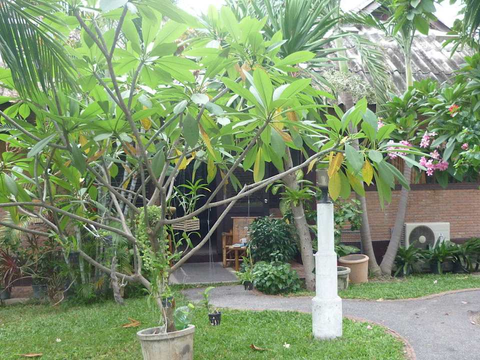 Dschungelgarten Hotel The Cottage