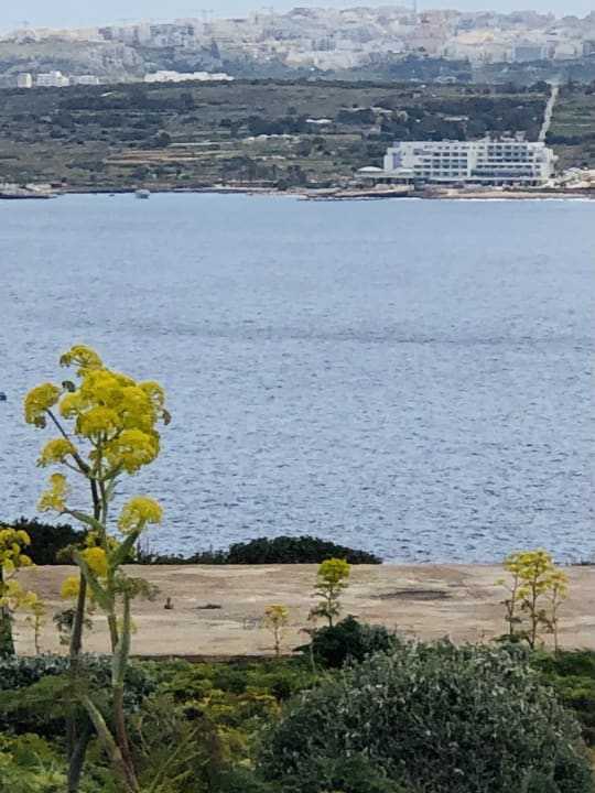 Ausblick Riviera Spa Resort - Adults Only