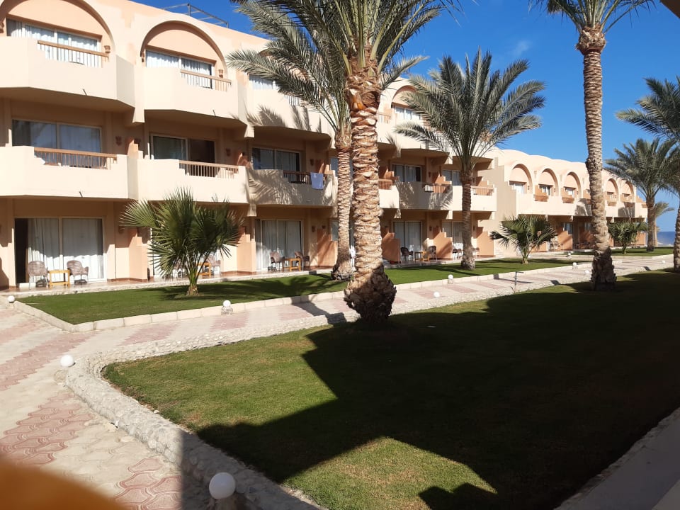 Zimmer Three Corners Sea Beach Resort