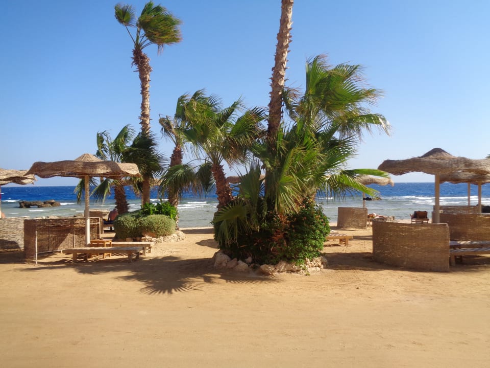 Strand Pickalbatros Citadel Resort