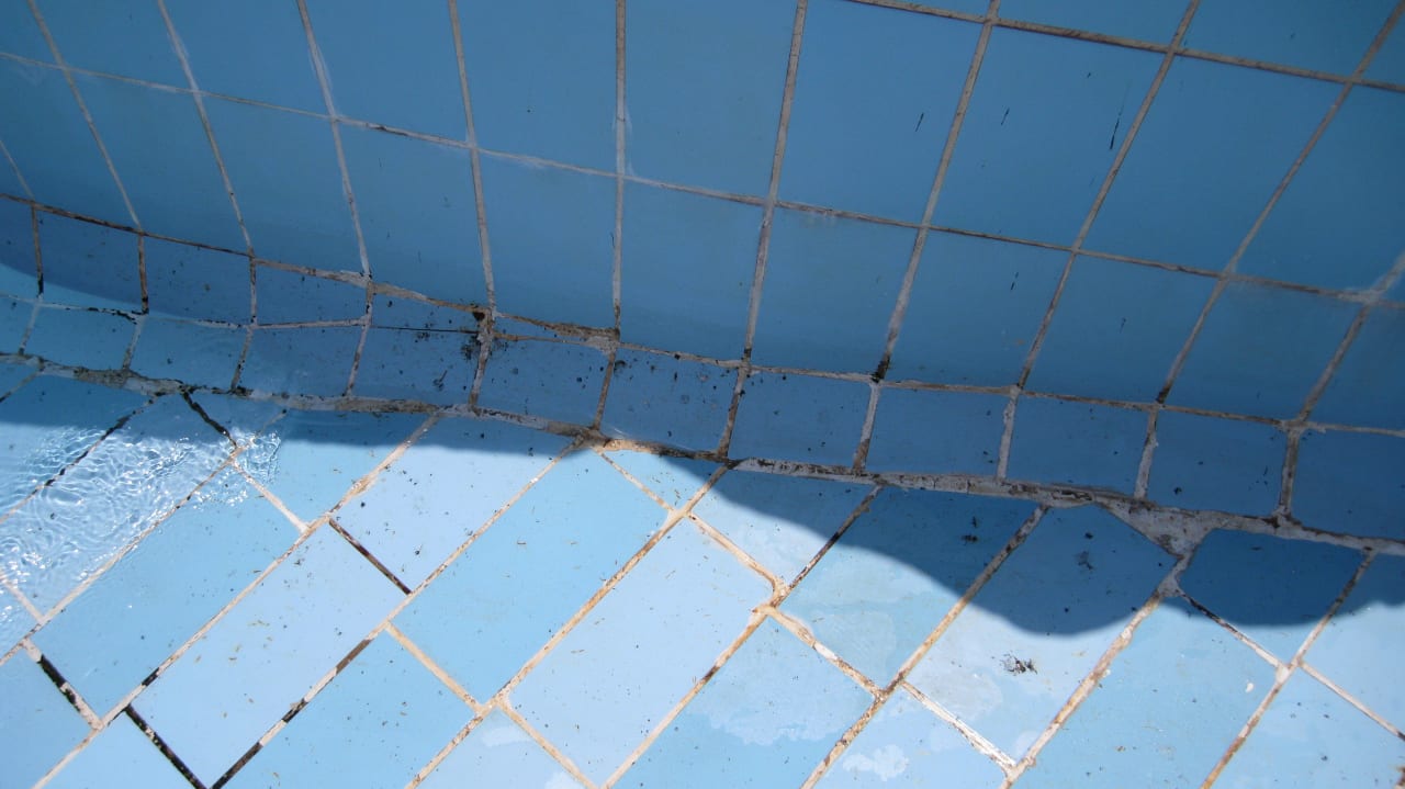 Schimmel Serenity Alma Heights