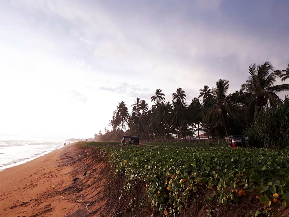 Strand Hotel Taprobana Wadduwa