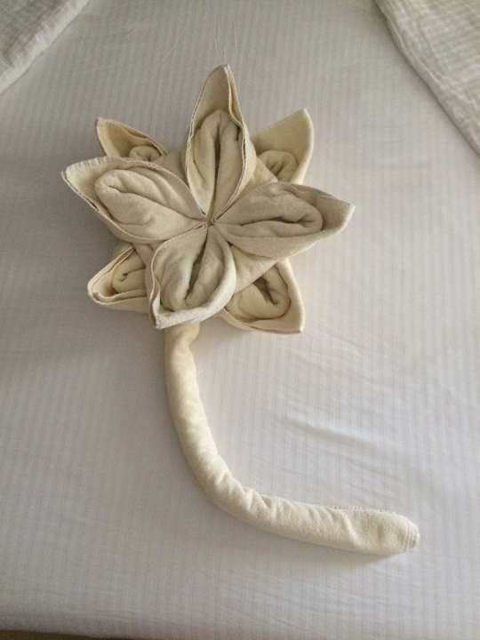 Handtuch Kunstwerk Beach Albatros Resort