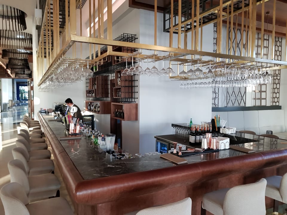 Gastro Acanthus Cennet Barut Collection