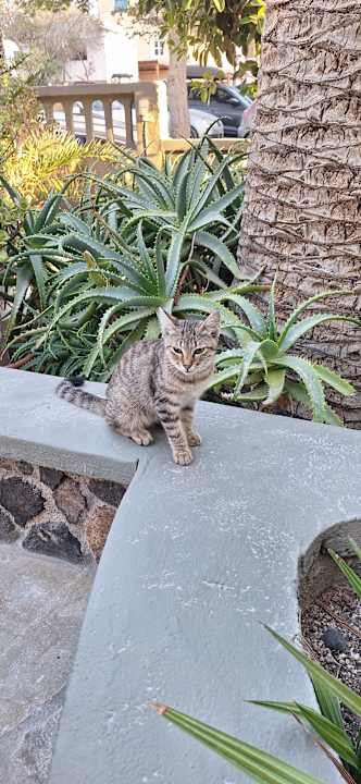 Gartenanlage Hotel Zephyros