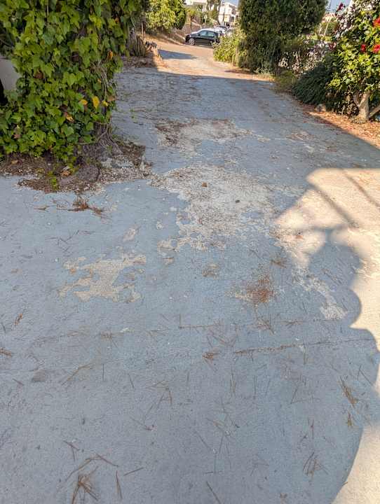 Gartenanlage Hostal Residencia San Francisco