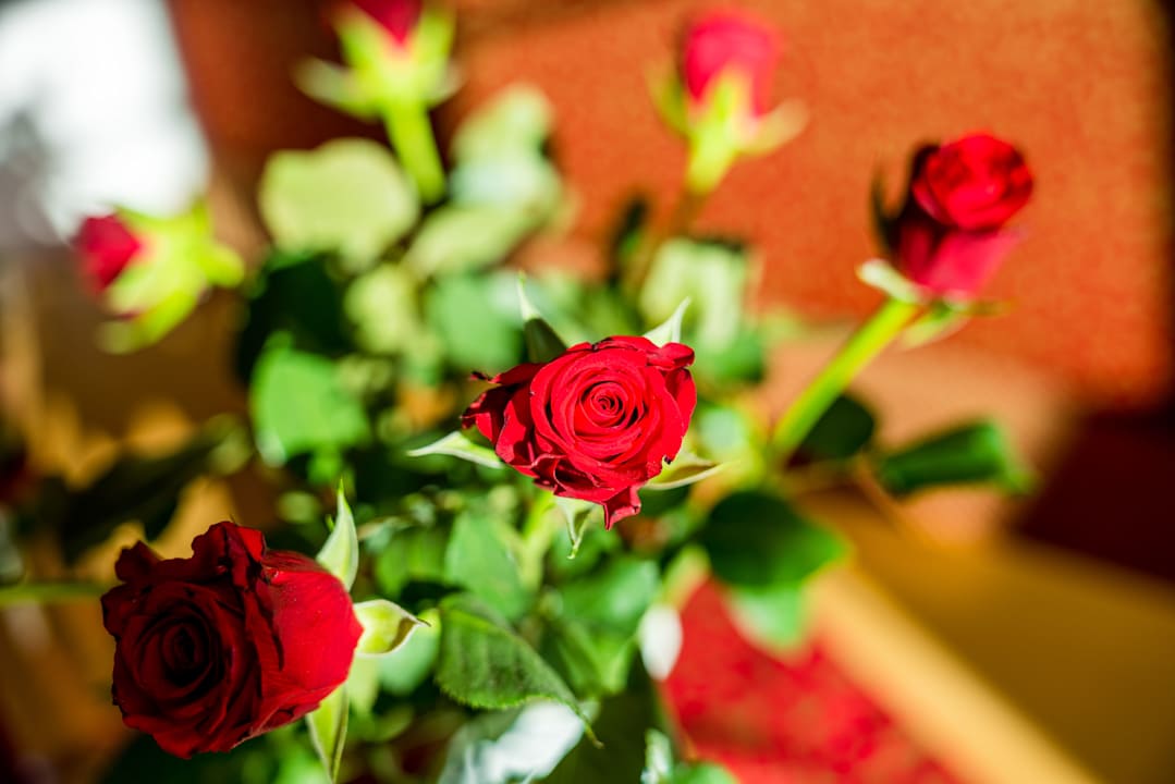 Sonstiges Linharterhof Appartement