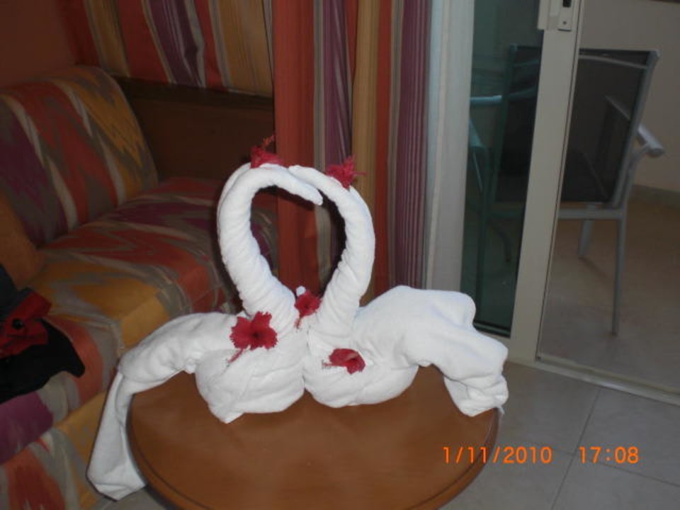 Schwan Iberostar Waves Punta Cana