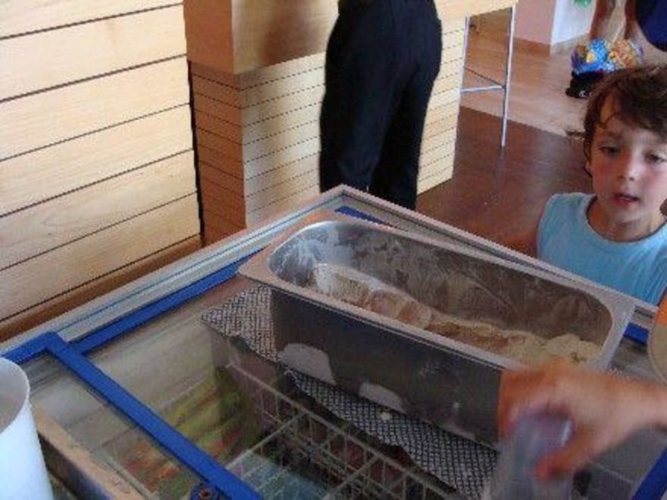 Eisschmelze Gavimar Ariel Chico Club & Resort