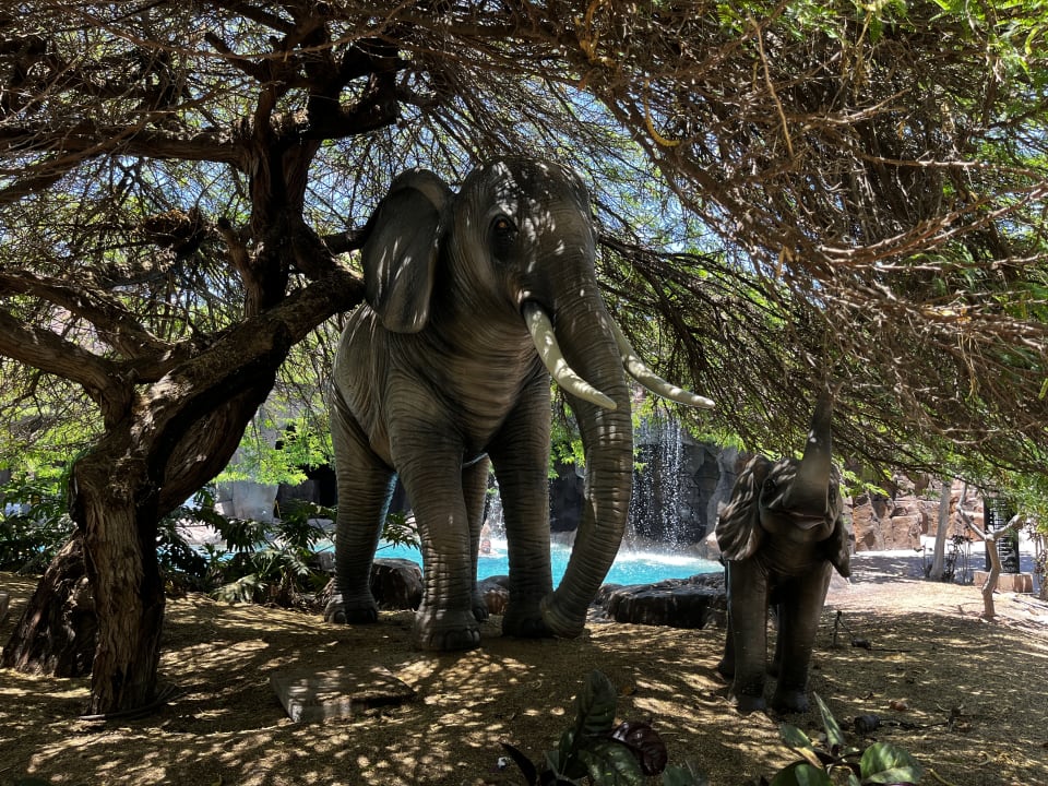 Gartenanlage Lopesan Baobab Resort