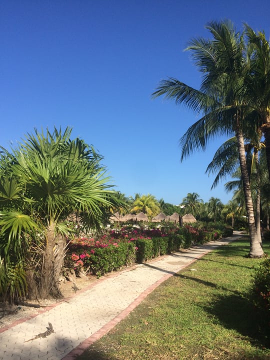 Gartenanlage TRS Yucatan Hotel - Adults only
