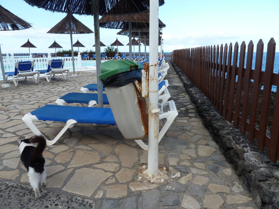 Fällt sicher bald ab, toll nicht? Melia La Palma Hotel