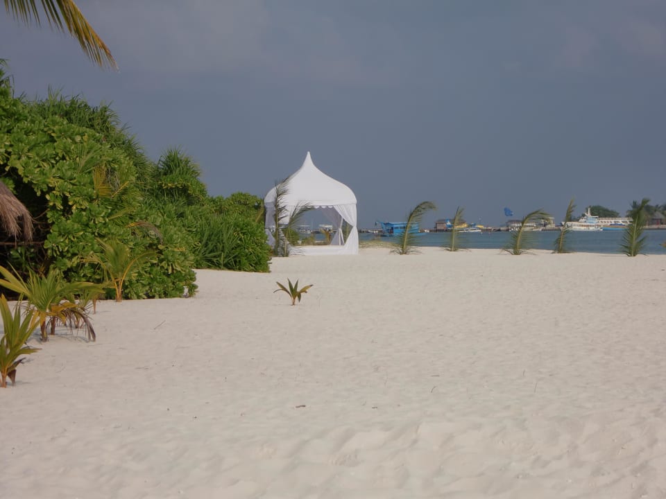 Strand und Anleger Kuredu Island Resort & Spa