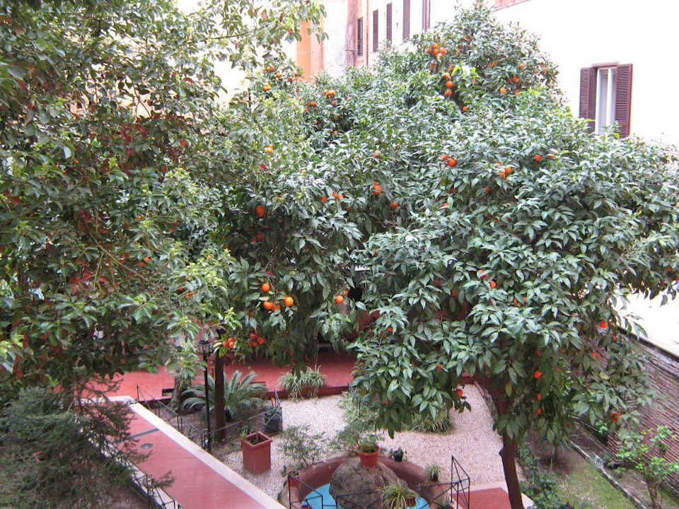 Blick vom Zimmer in den Garten Hotel Astoria Garden
