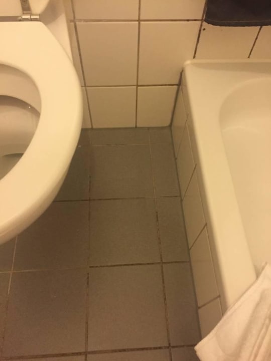 Schimmel in nahezu allen Fugen Hotel Arcen