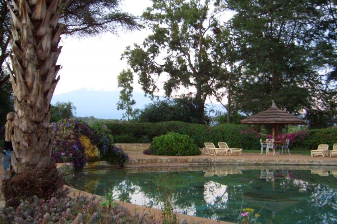 Poolanlage mit Blick auf den Kilimandscharo Hotel Amboseli Sopa Lodge
