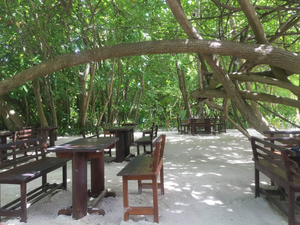 Coconut Bar - Aussenbereich Biyadhoo Island Resort