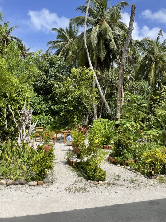 Gartenanlage Filitheyo Island Resort