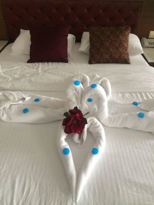 Werk der Putzfrau Royal Taj Mahal Hotel