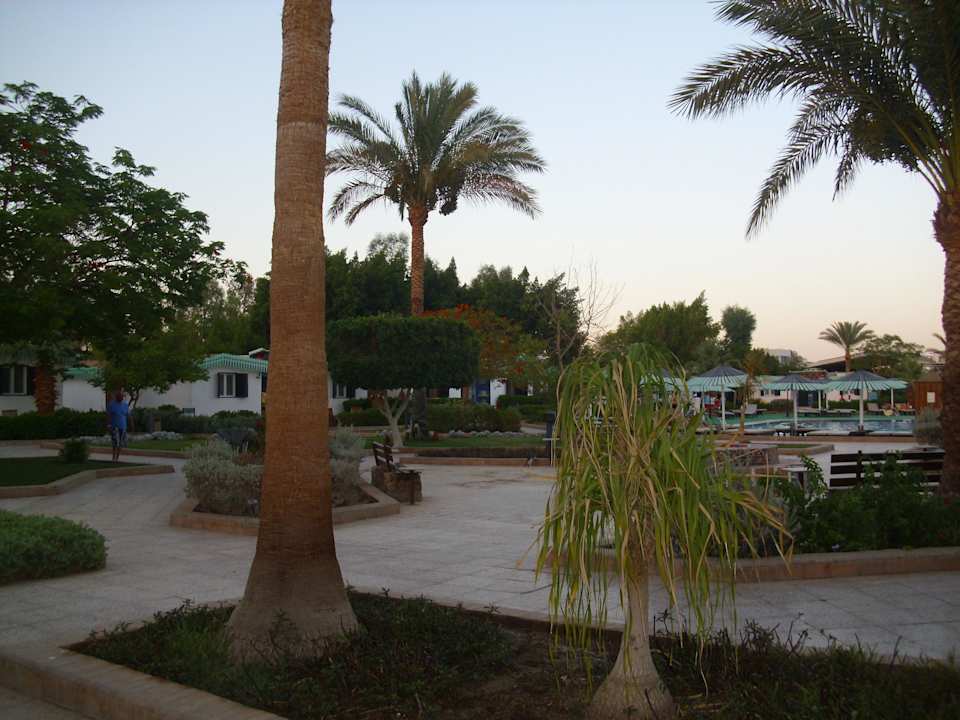 Garten Ghazala Beach