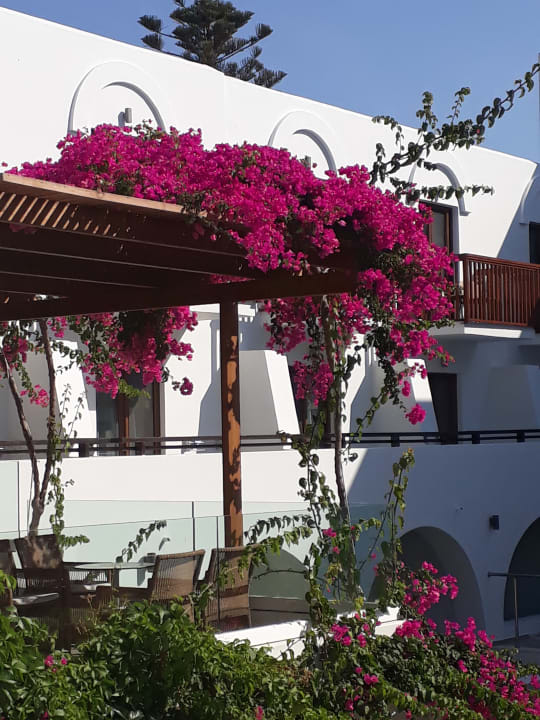 Gartenanlage TUI BLUE Oceanis Beach and Spa Resort