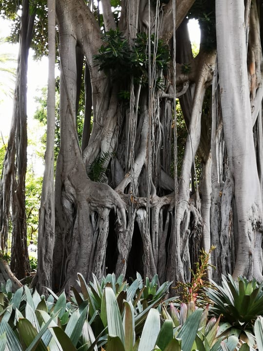 Ausblick Apartments Ambassador