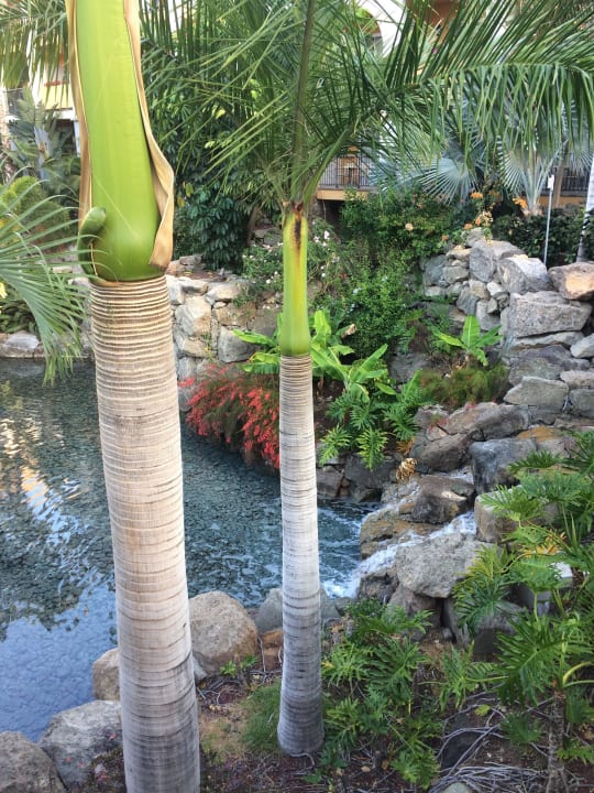 Im Hotel Hotel Cordial Mogán Playa